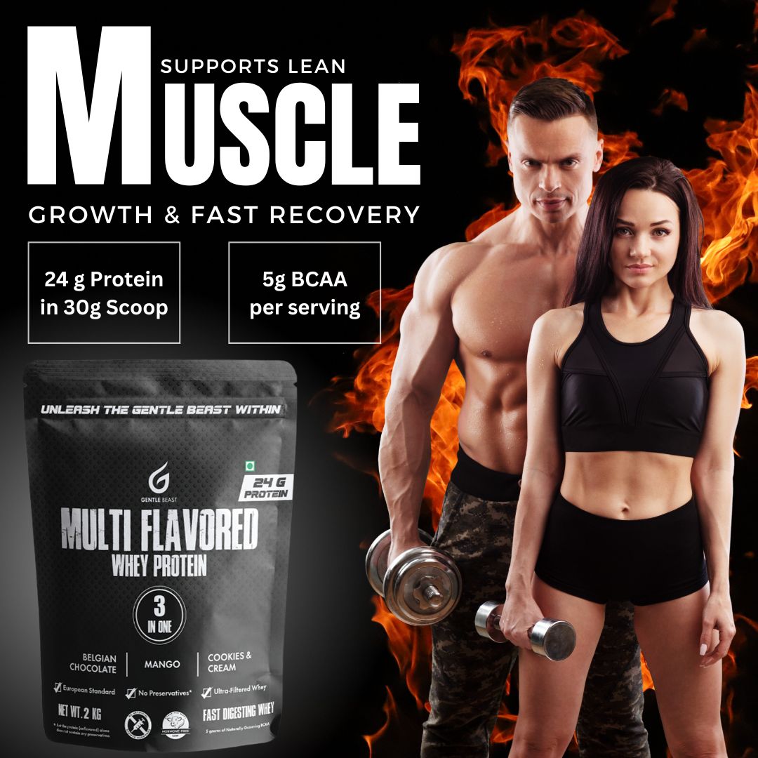 Multi-Flavored 100% Whey Protein | 3-in-1 Flavors | Gluten & Hormone Free Whey - (24g Pure Protein)